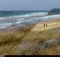 Scarborough  Absolutely Beachfront - Sunshine Coast Guide