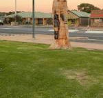 Lake Albert Motel - Sunshine Coast Guide