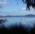 Lilacs Waterfront Villas  Cottages - Sunshine Coast Guide