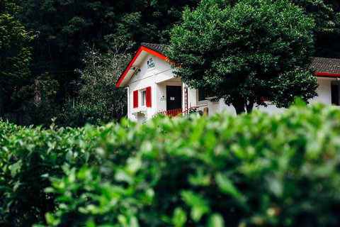 Tall Trees Motel - Sunshine Coast Guide 3