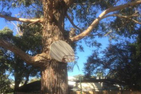 Inverloch Motel - Sunshine Coast Guide 5