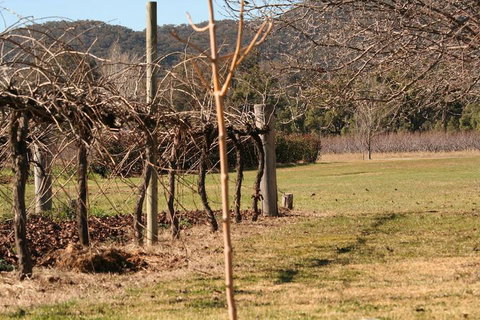 The Farmhouse At Blue Wren Wines - Sunshine Coast Guide 3