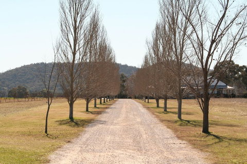 The Farmhouse At Blue Wren Wines - Sunshine Coast Guide 4