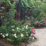 Maldons Eaglehawk Motel - Sunshine Coast Guide 0