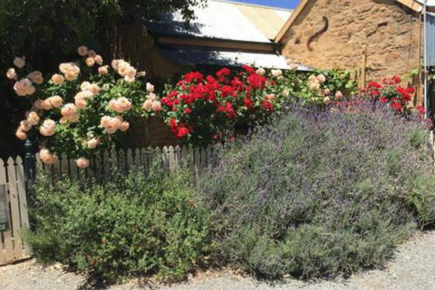 The Olde Devonshire House - Sunshine Coast Guide 3