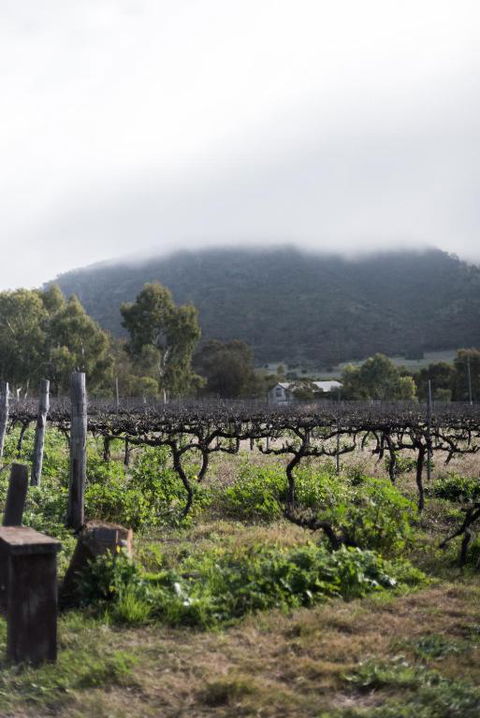 Hope Farm Guesthouse - Sunshine Coast Guide 2