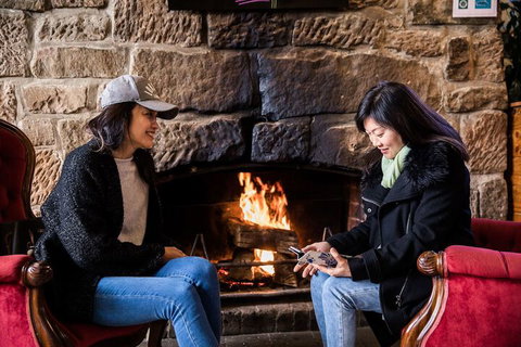 The Pickled Frog - Sunshine Coast Guide 2