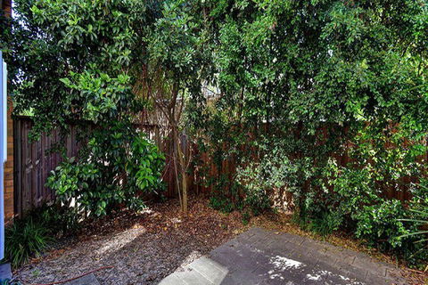 Aqua Viva 2 - Sunshine Coast Guide 1