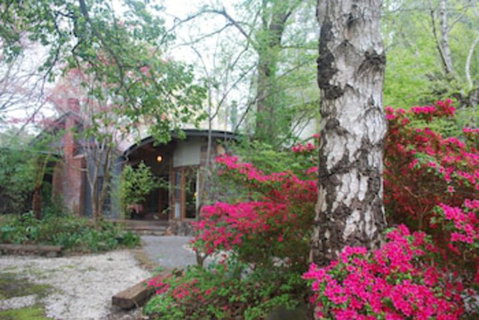 Rocky Creek Art Garden B&B - Sunshine Coast Guide 0