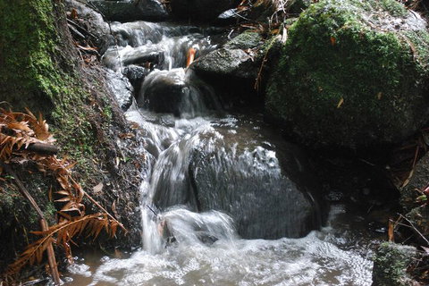 Rocky Creek Art Garden B&B - Sunshine Coast Guide 4