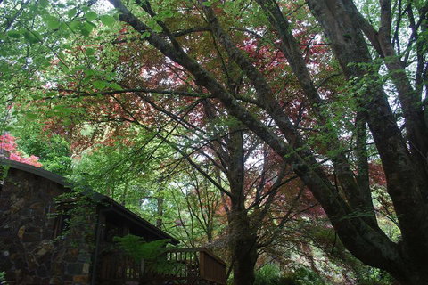 Rocky Creek Art Garden B&B - Sunshine Coast Guide 2