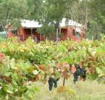 Fergies Hill Spa Cottage at Granite Ridge Wines - Sunshine Coast Guide