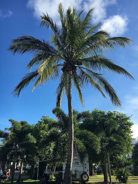 Secura Lifestyle Magnetic Gateway Townsville - Sunshine Coast Guide 1