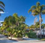 Mollymook Caravan Park - Sunshine Coast Guide