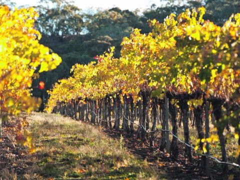 The Reserve Apartment - Sunshine Coast Guide 3