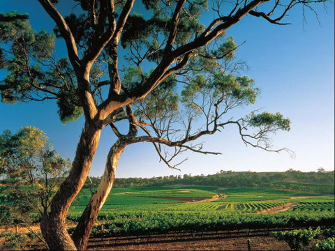 The Reserve Apartment - Sunshine Coast Guide 2