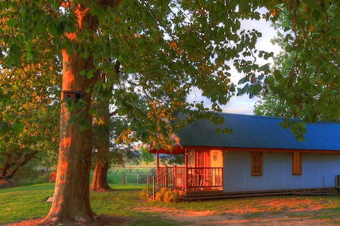 Colac Colac Caravan Park - Sunshine Coast Guide 5