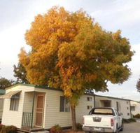 Wodonga Caravan  Cabin Park - Sunshine Coast Guide