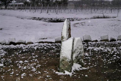 Taits Place Vineyard B & B - Sunshine Coast Guide 1