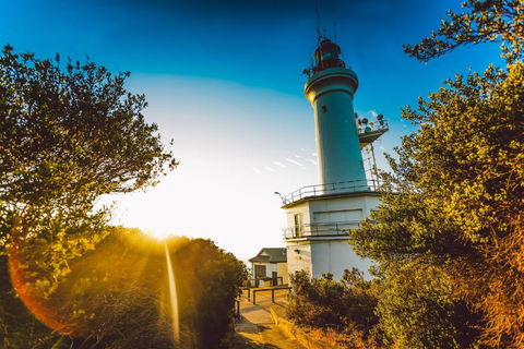 Abaleen House - Sunshine Coast Guide 5