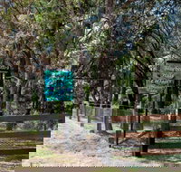 Blueberry Hills On Comleroy - Sunshine Coast Guide