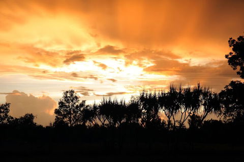 Berry Creek Bush Retreat - Sunshine Coast Guide 3