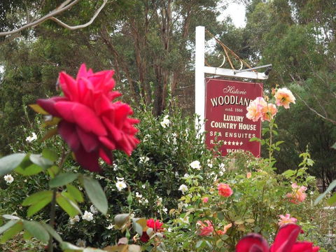 Woodlands Of Bridgetown B & B - Sunshine Coast Guide 5