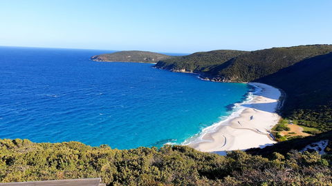 Wolfes Landing Eco Retreat - Sunshine Coast Guide 1