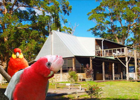 Wolfes Landing Eco Retreat - Sunshine Coast Guide 2