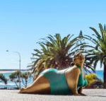Alex Headland Beachfront - Sunshine Coast Guide