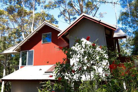 Pelicans At Denmark - Sunshine Coast Guide 2