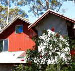 Pelicans at Denmark - Sunshine Coast Guide