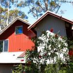 Pelicans At Denmark - Sunshine Coast Guide 0