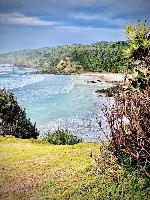 Byron Hinterland Farm Minutes To Everything! - Sunshine Coast Guide 3