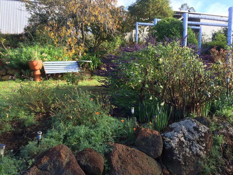 Chestnut Brae Farmstay - Sunshine Coast Guide 4