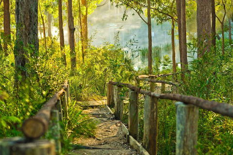 Kianinny Bush Cottages - Sunshine Coast Guide 7