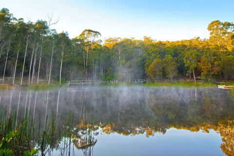 Kianinny Bush Cottages - Sunshine Coast Guide 5