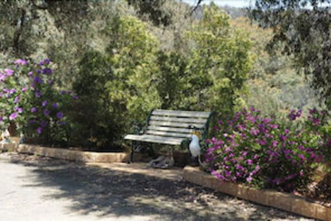 Wild Cherry Bed & Breakfast - Sunshine Coast Guide 3
