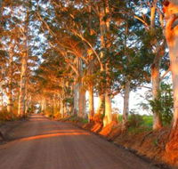Innisfree Mountain Retreat - Sunshine Coast Guide