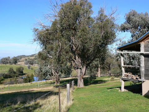 Gaddleen Grove Cottages - Sunshine Coast Guide 6