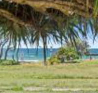 Pandanus on Emerald - Sunshine Coast Guide