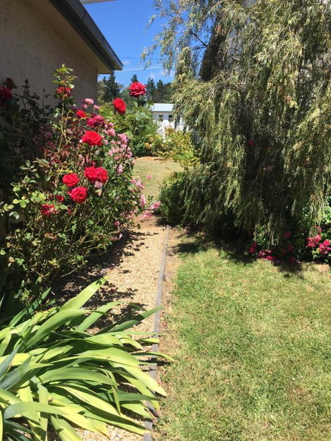 The Storekeepers - Sunshine Coast Guide 5