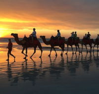 Beach House on Fox - Sunshine Coast Guide