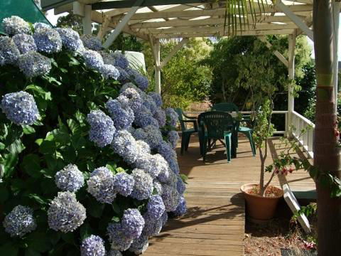 Nannup Riverview Cottage - Sunshine Coast Guide 3