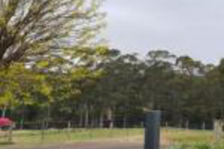 Wyena TAS Sunshine Coast Guide