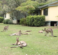 Depot Beach Cabins - Sunshine Coast Guide