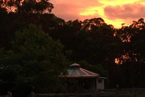Ionaforest Yurt & Shepherds Hut - Sunshine Coast Guide 4