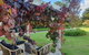The Cottage - thumb 6