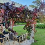 The Cottage - Sunshine Coast Guide 0