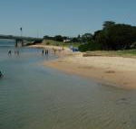 Black Dolphin Waterfront Apartment - Sunshine Coast Guide